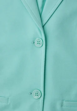 Basis blazer