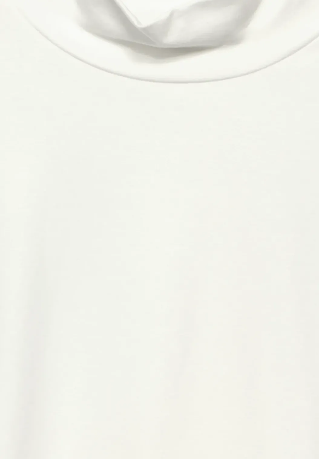 Shirt met coltrui