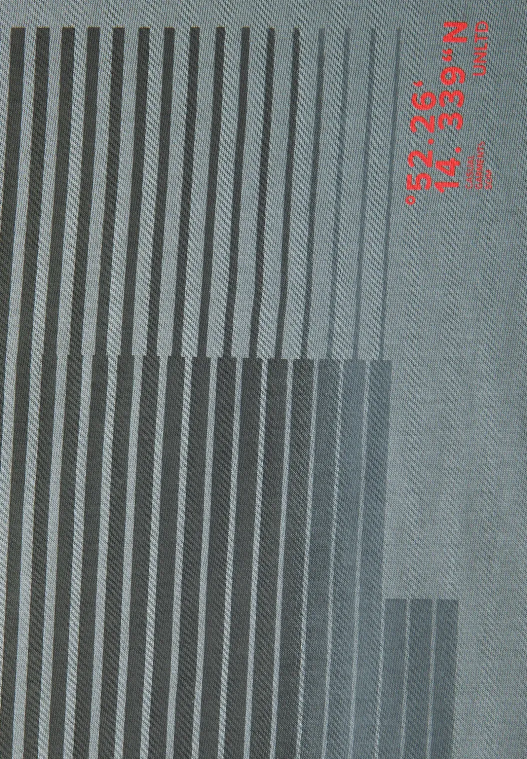 T-shirt met streepprint