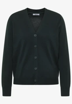 V-hals vest